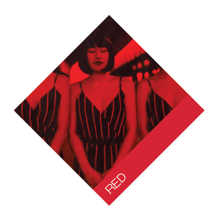 Photogrpahe : Pauline Caplet_Expolaroïd - 2016 - Bruxelles